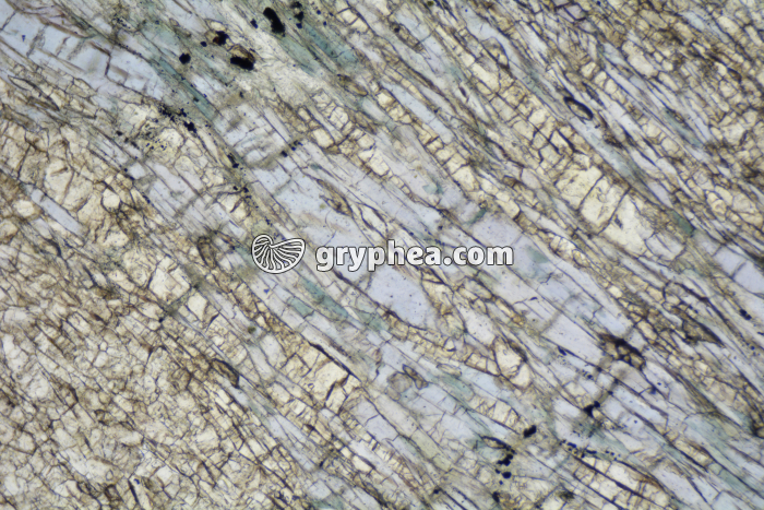 Schiste à grenats et glaucophane LPNA x25 - gryphea.com